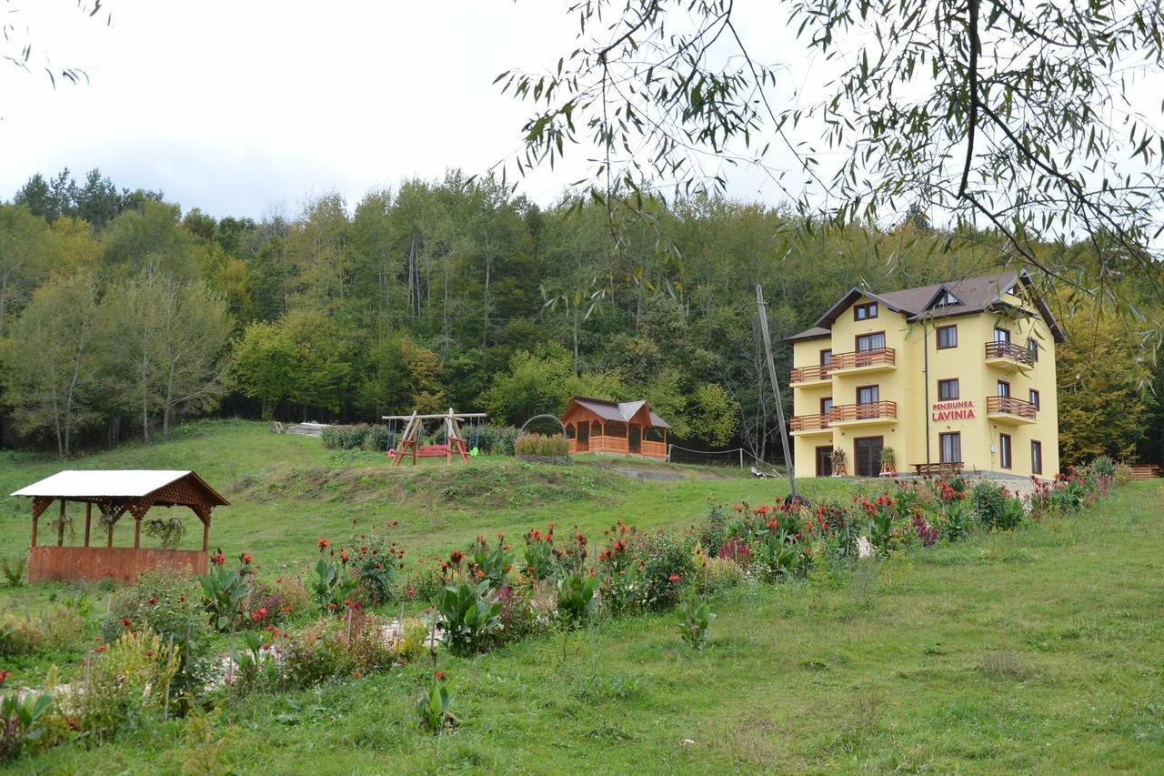 Pensiunea Lavinia Calvini Экстерьер фото