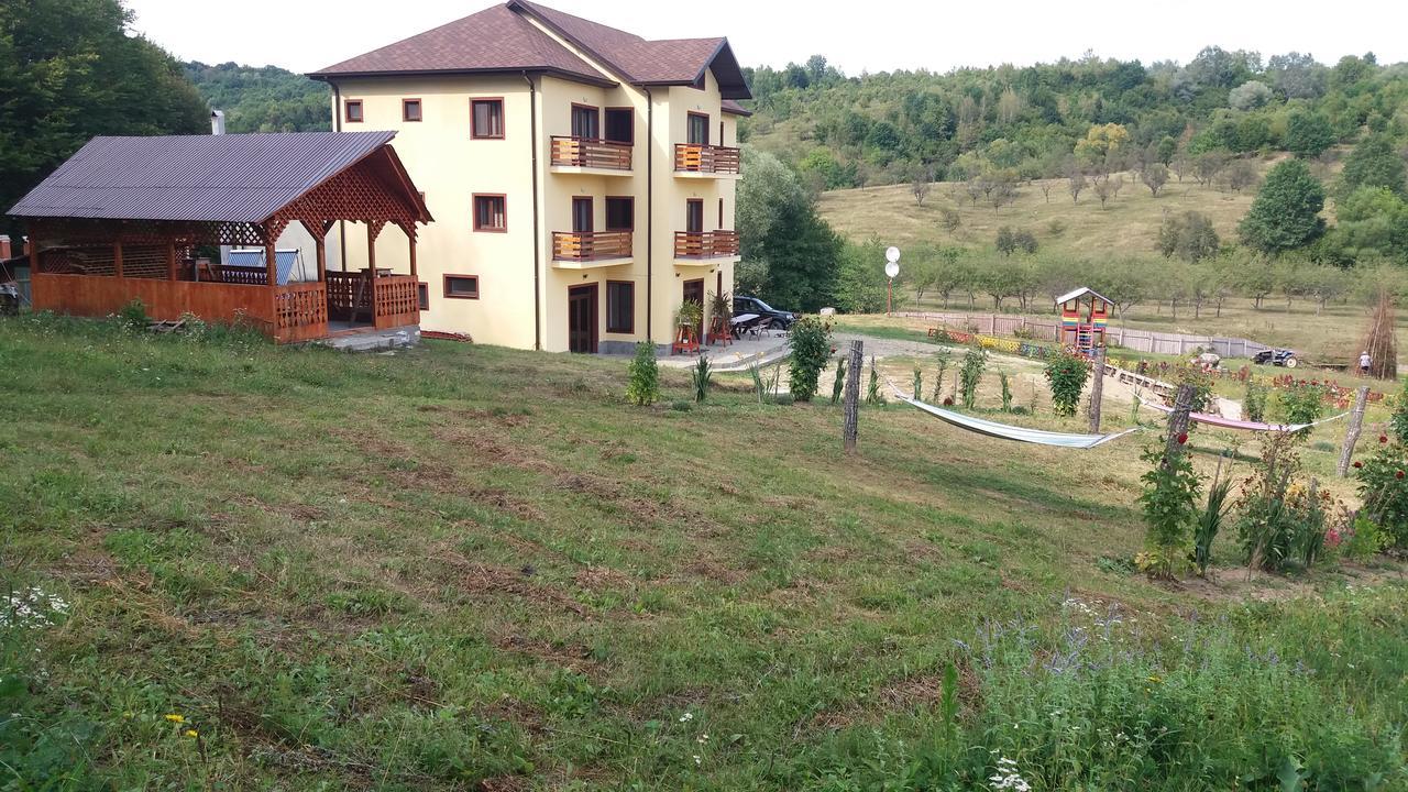 Pensiunea Lavinia Calvini Экстерьер фото